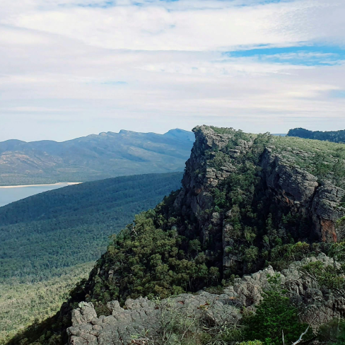 The Pinnacle
